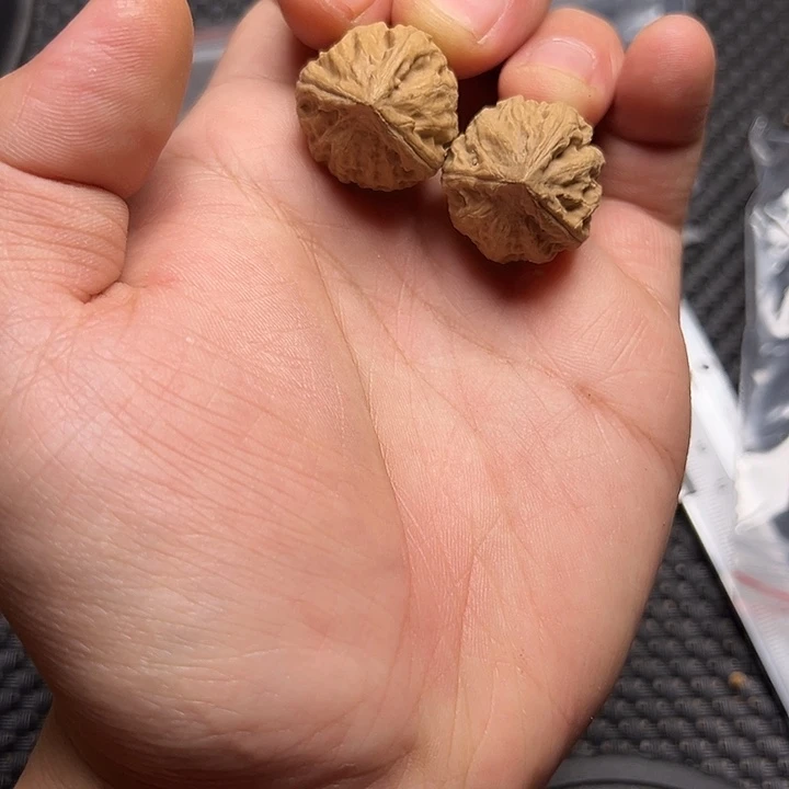 文玩核桃吊坠三棱