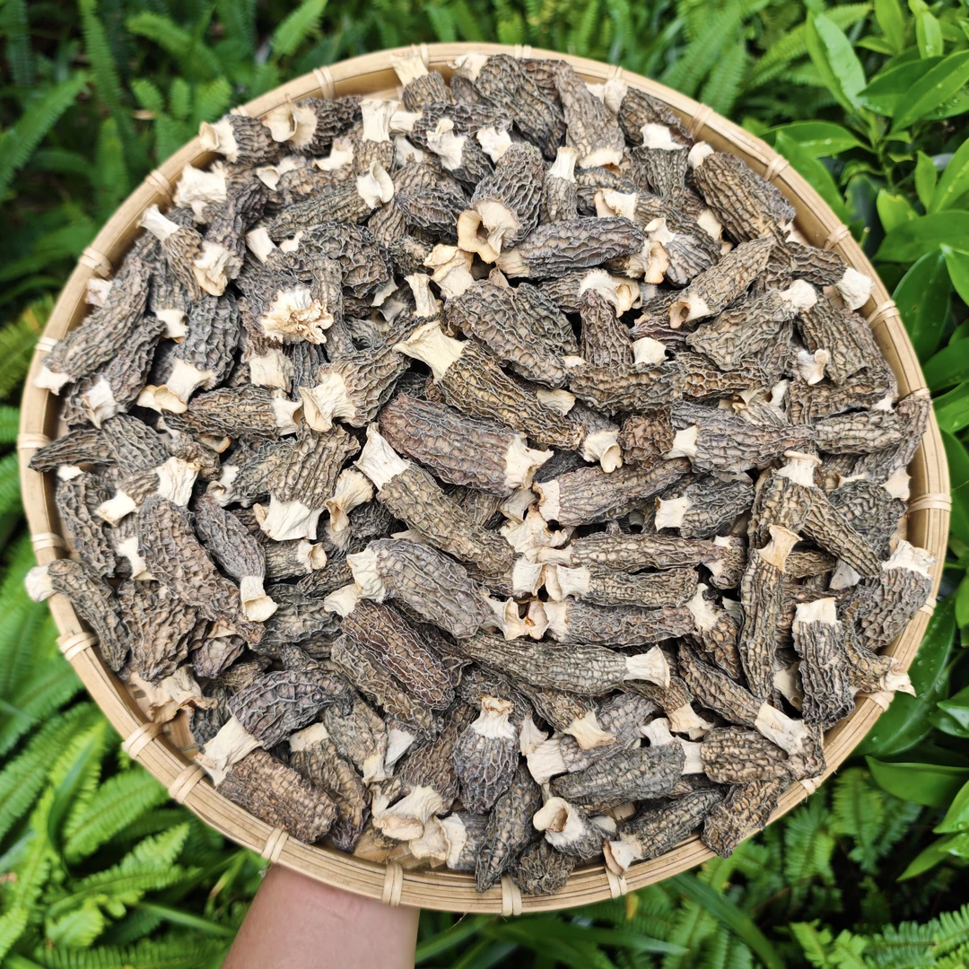 【阿丹臻品】云南高原羊肚菌 头茬5-7公分个大厚肉 农家土特产