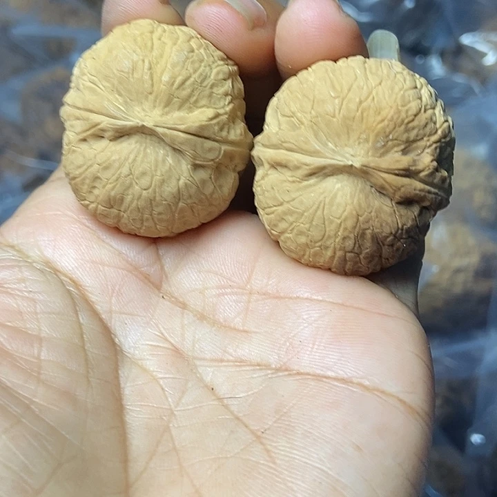 文玩核桃把件云南铁核桃基地22