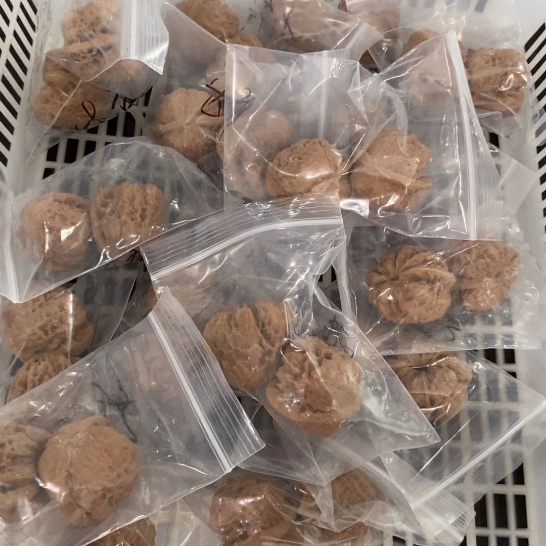 文玩核桃吊坠达摩有瑕疵