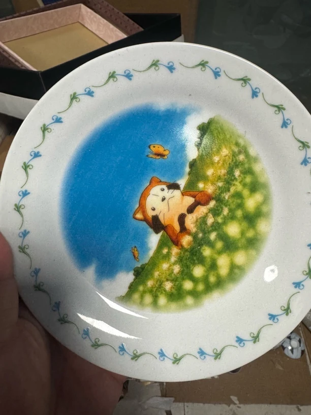 洗碗的小浣熊大碟子
