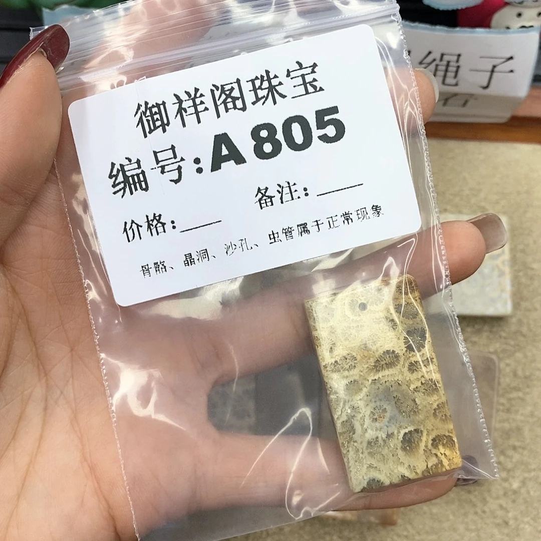 硅化珊瑚(珊瑚玉)A未镶嵌君*