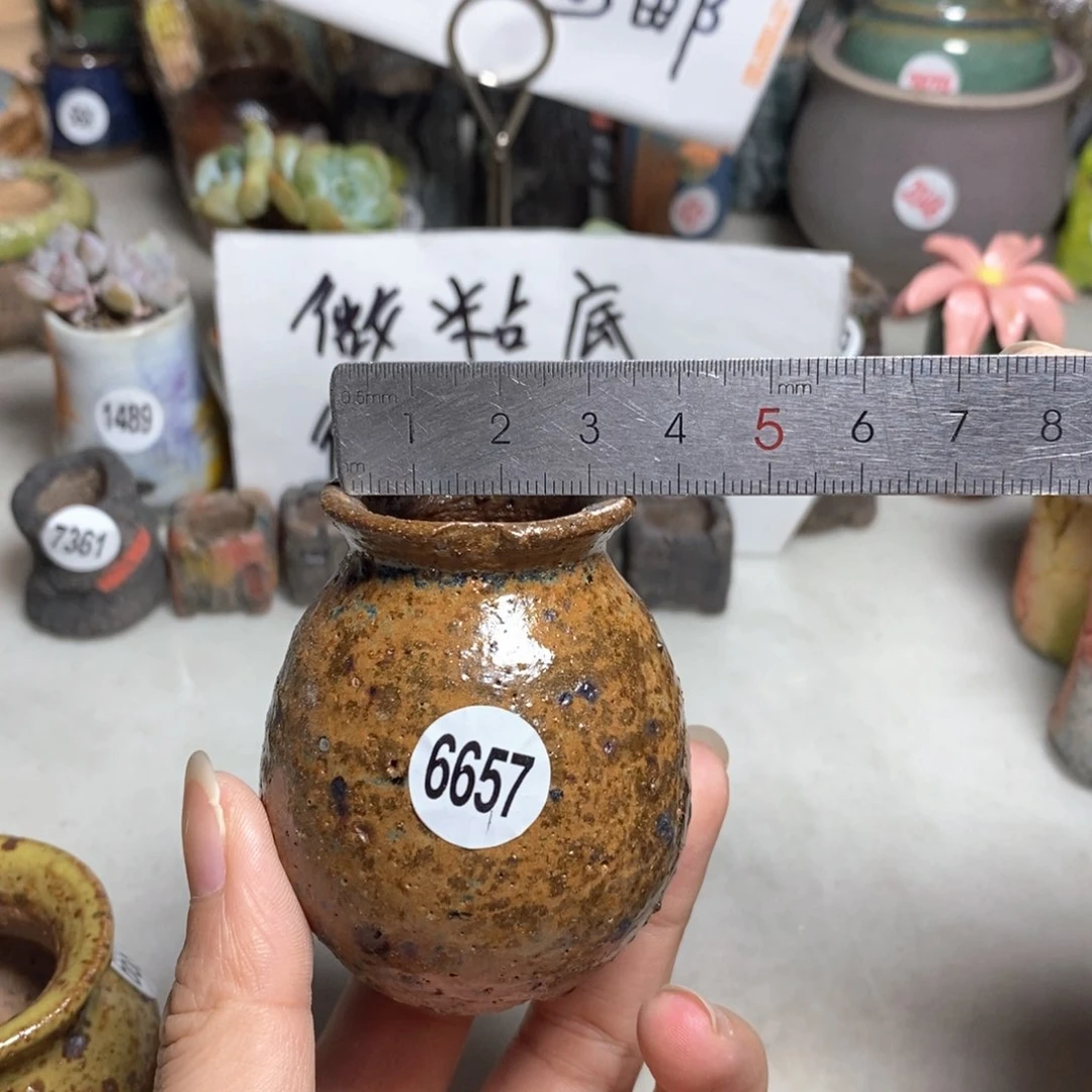 拍5送一个小礼物