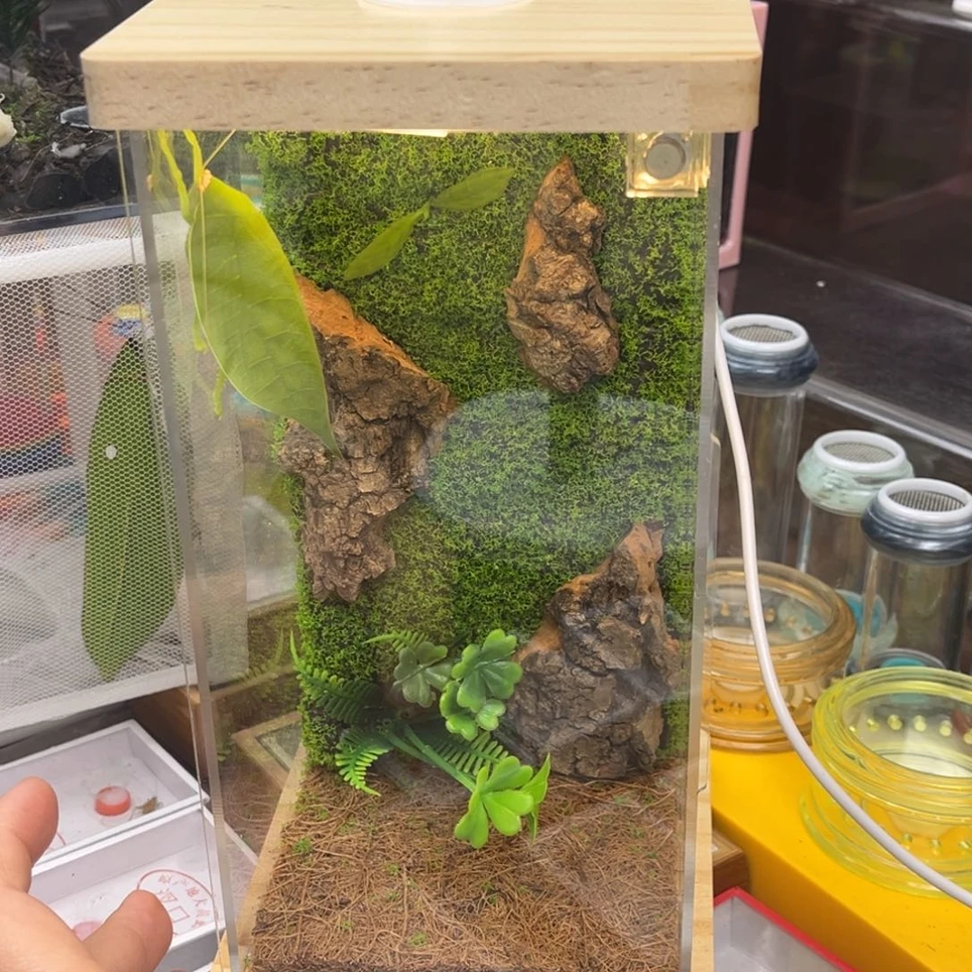 实木生态箱➕冠脉哈哈