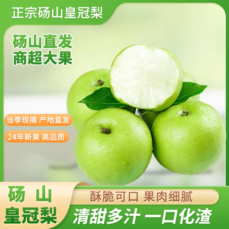 砀山青皮皇冠梨产地直发水果产地直发当季新鲜水果应季当季水果