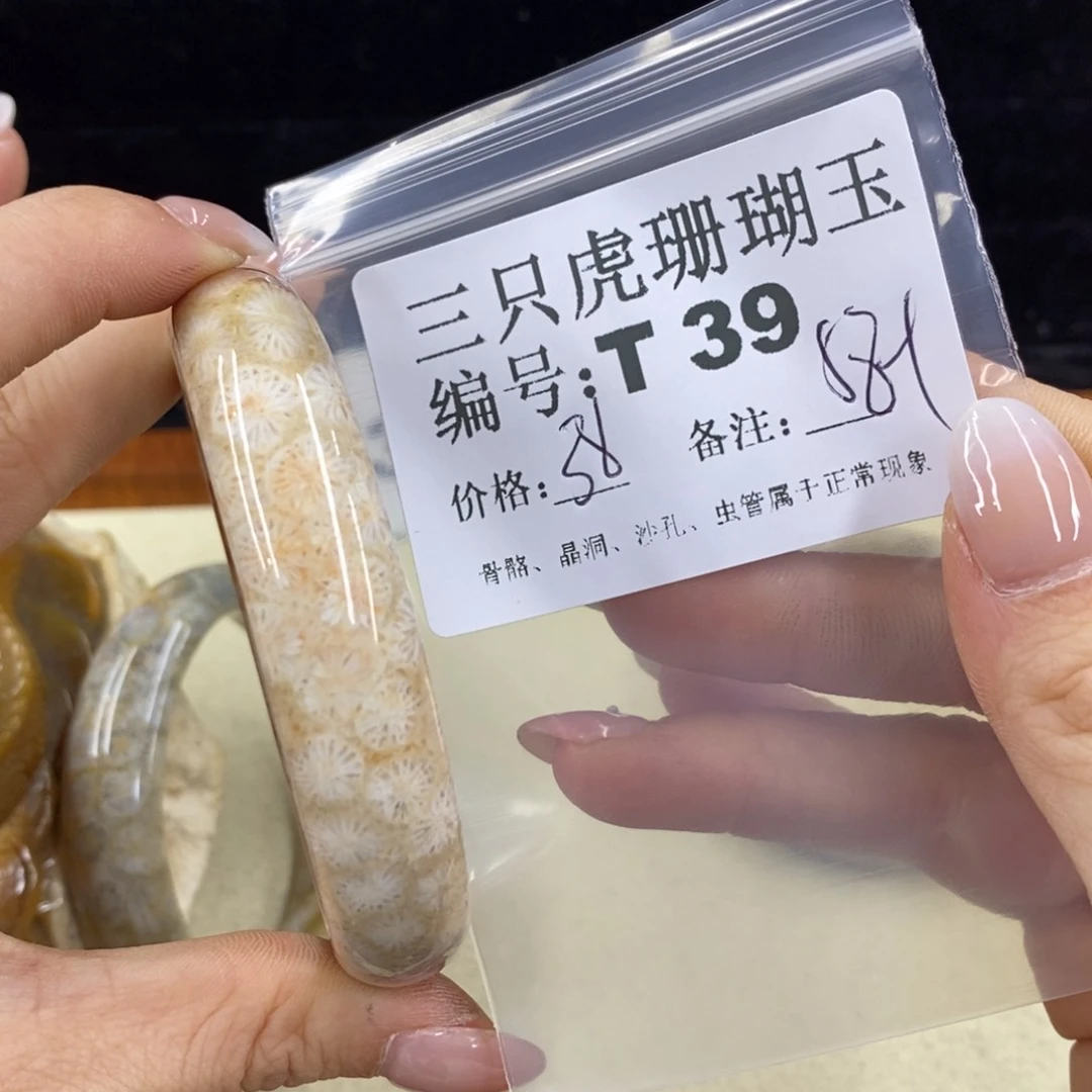 硅化珊瑚（珊瑚玉）1未镶嵌旺****ಣ