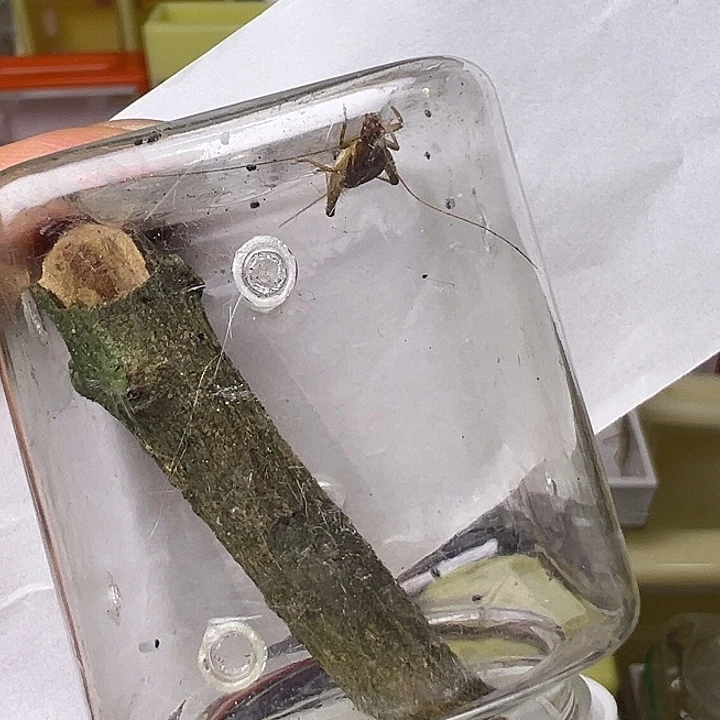 阿***三哈哈哈哈哈哈哈哈哈哈哈