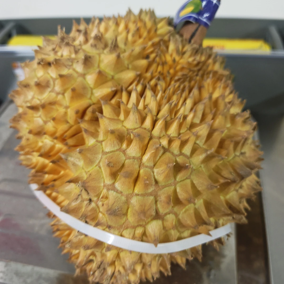 新鲜金枕榴莲核小-5.26斤金枕越南