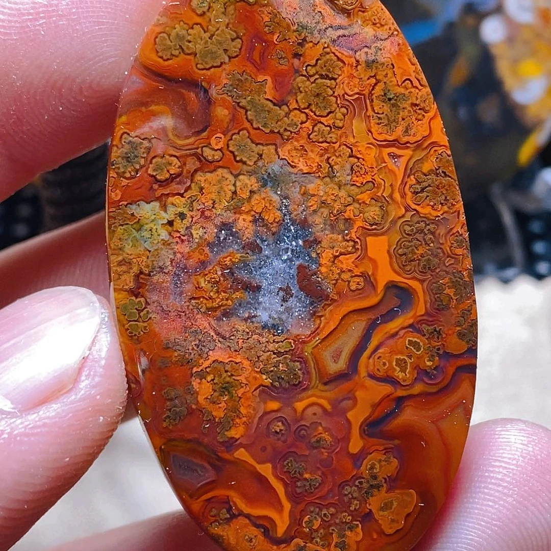 玛瑙/玉髓颈饰未镶嵌赖**生