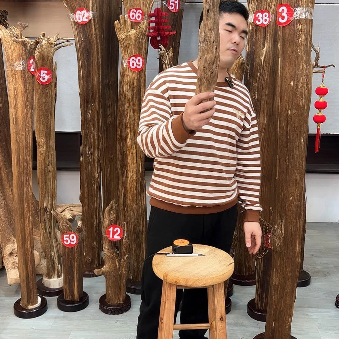 沉香摆件泉****司海南沉香摆件