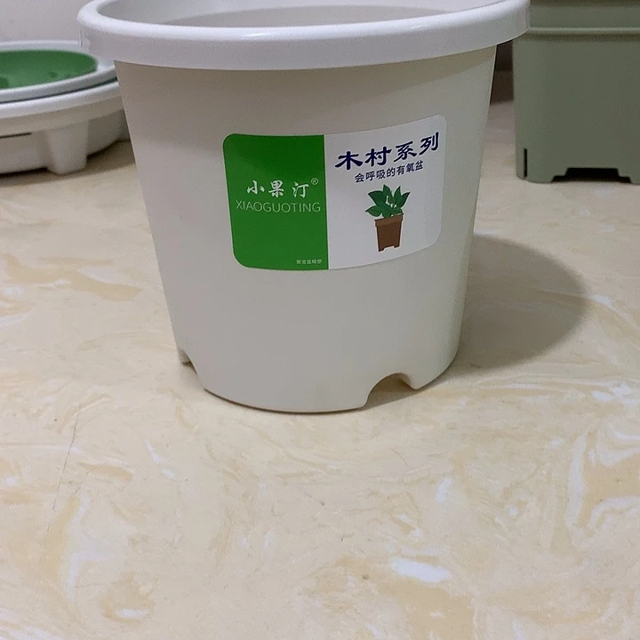 小果汀15口白10个无托