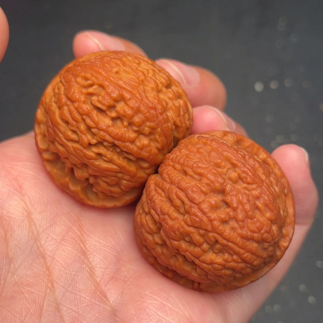 秦岭野生文玩核桃