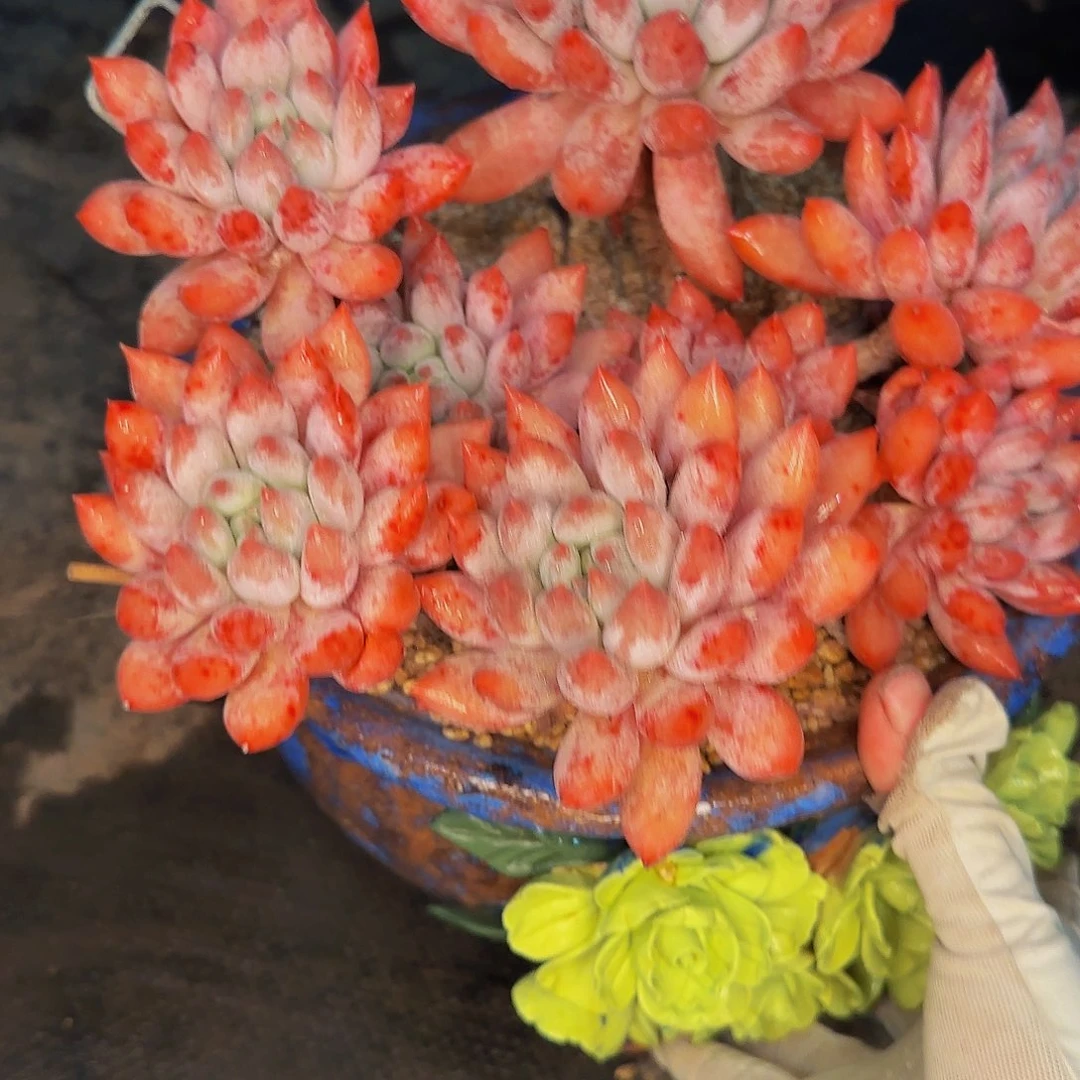 让***！次啊啊呃呃呃呃呃呃呃呃呃呃呃呃