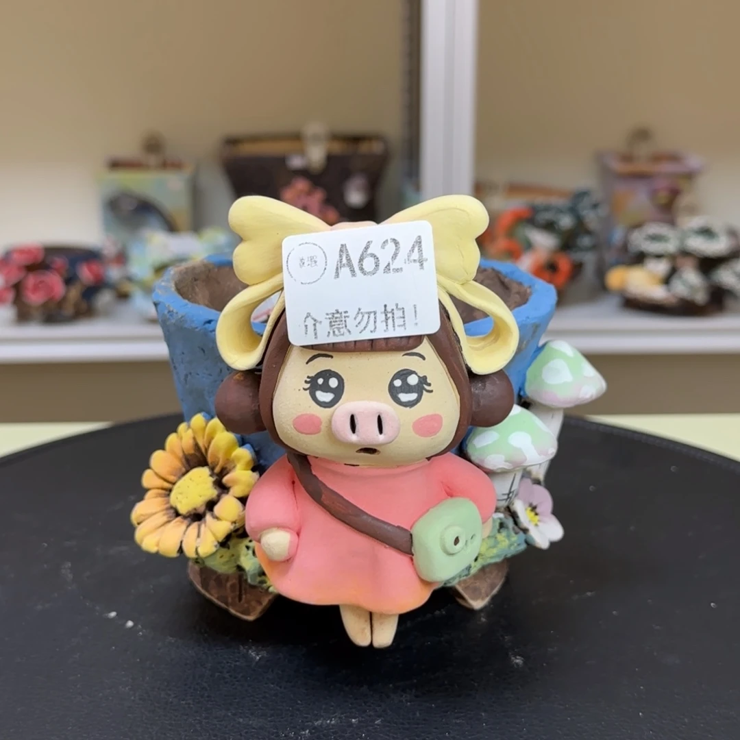 A624 【闪购】多肉花盆
