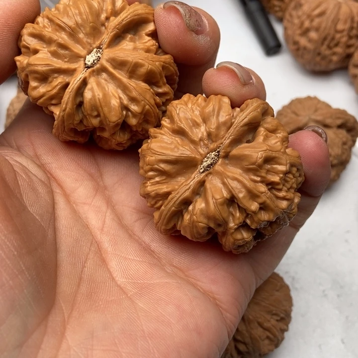 文玩核桃把件风**程粗筋