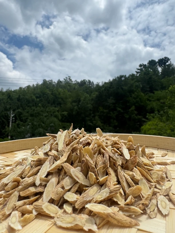 小黄芪片【田田助农】