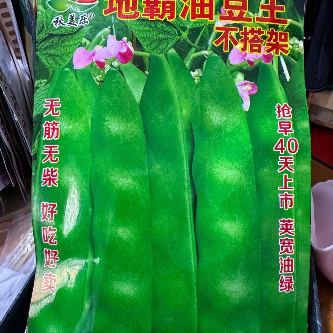 jj不打架地油豆籽今年新种今年新种