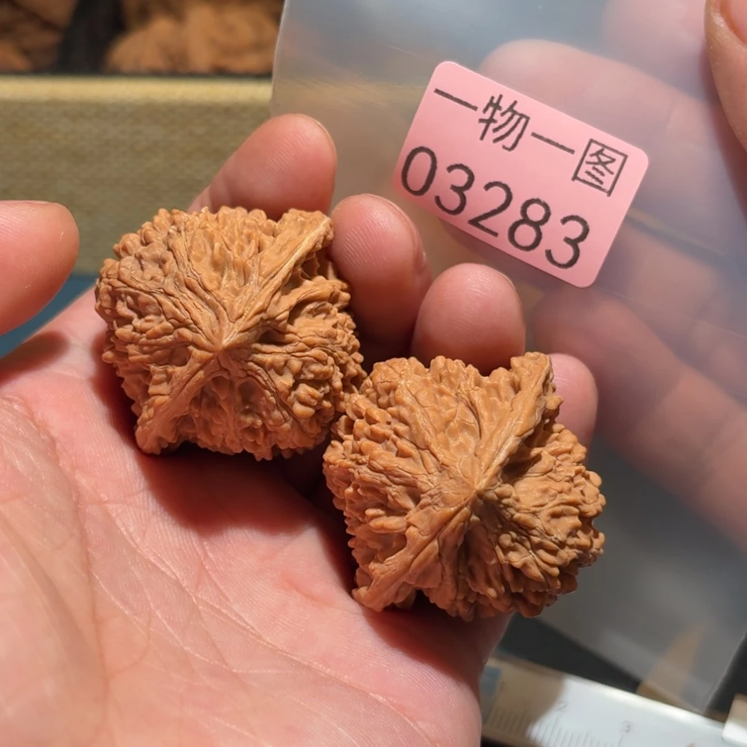 把件文玩核桃满天星