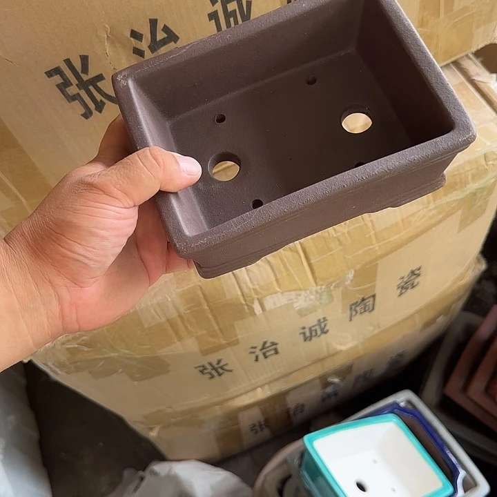 宇宇宇已上线我要和一定