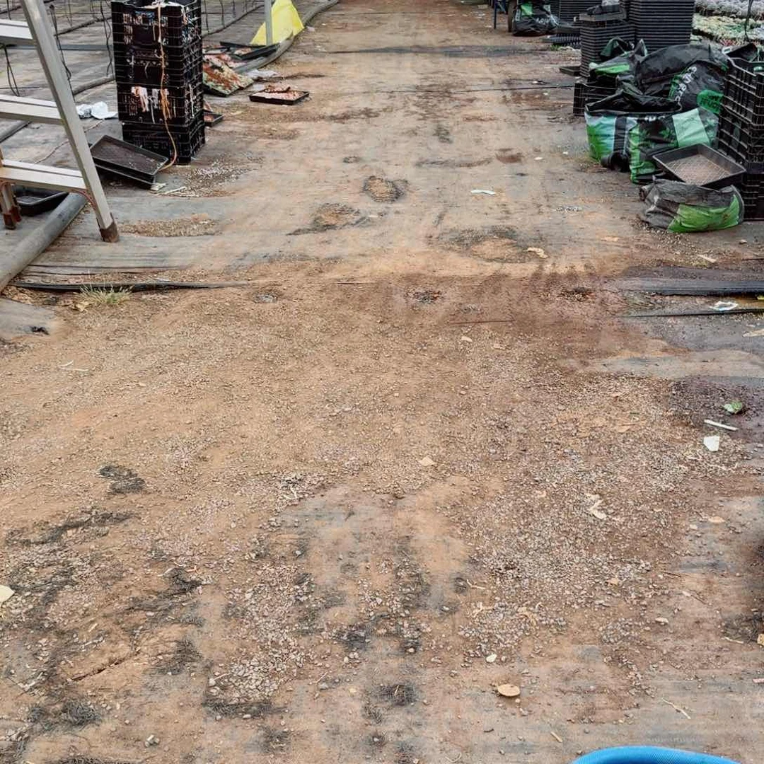 编号珍妮十棵量拍混合