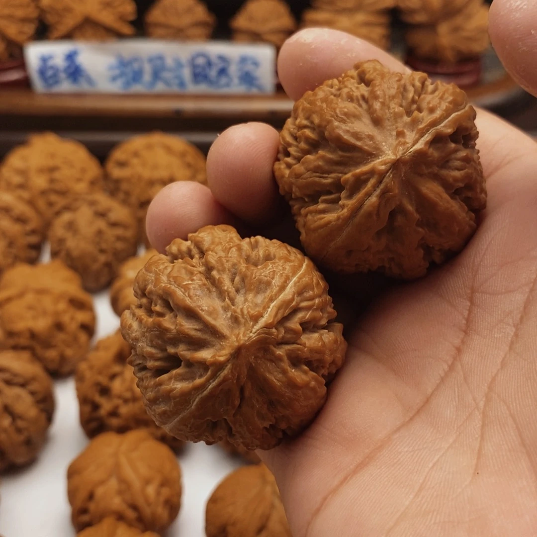 文玩核桃吊坠40尺红皮霸王龙