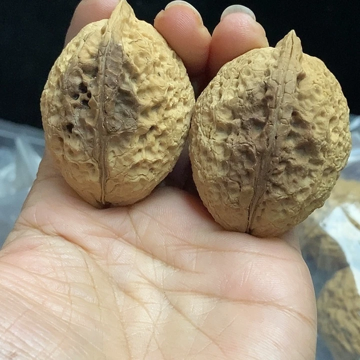 文玩核桃把件云南铁核桃基地82