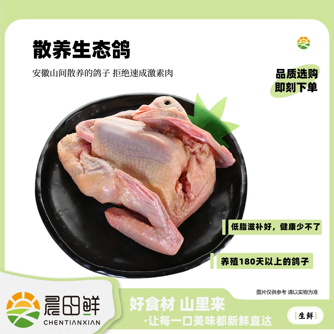 （顺丰）安徽农家散养乳鸽慢养