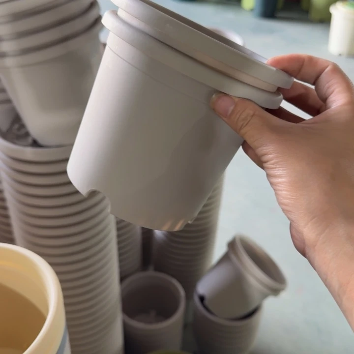 四季1#口径14灰白10个无托