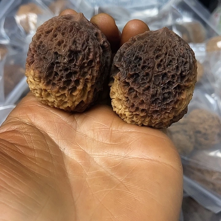 把件文玩核桃云南铁核桃基地15