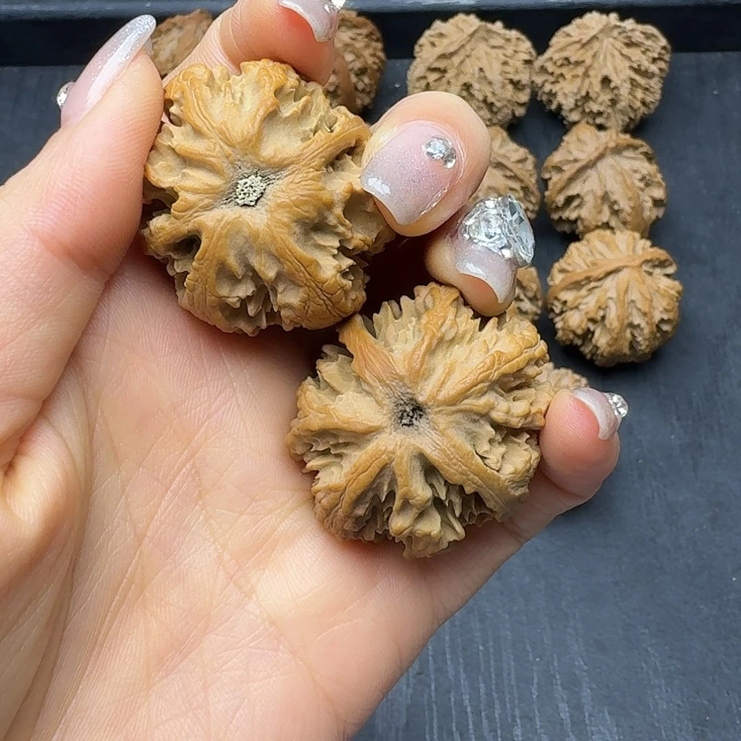 桃木突突突突突突突