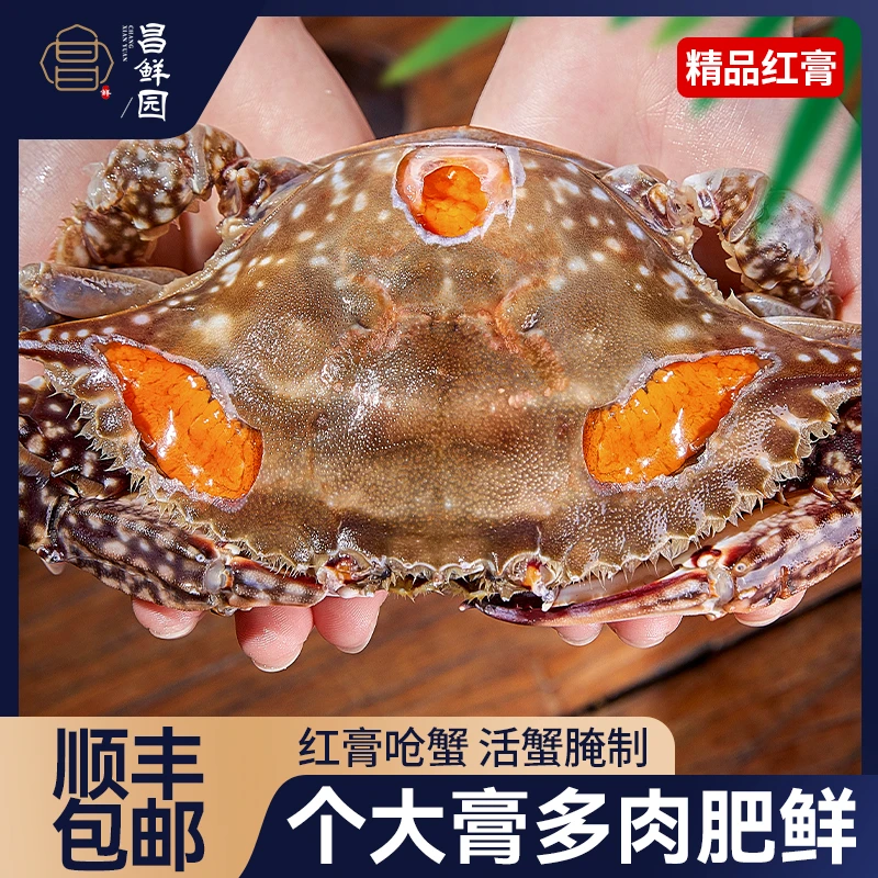 L 大号舟山宁波特产舟山精品红膏呛蟹 4两左右/只