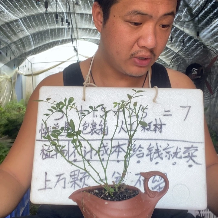 退款拉黑一物一拍3