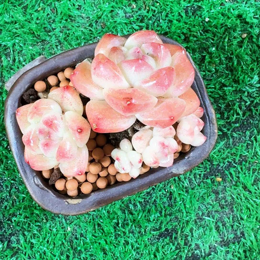 000000000000000000000008