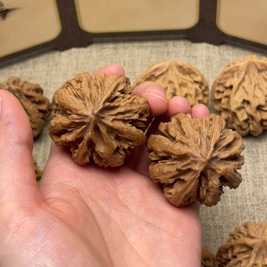 车***士文玩核桃把件秦岭核桃15号