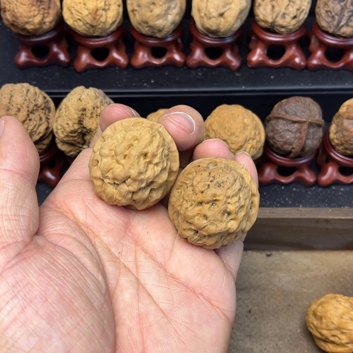 核桃铁核桃金玉葡萄6