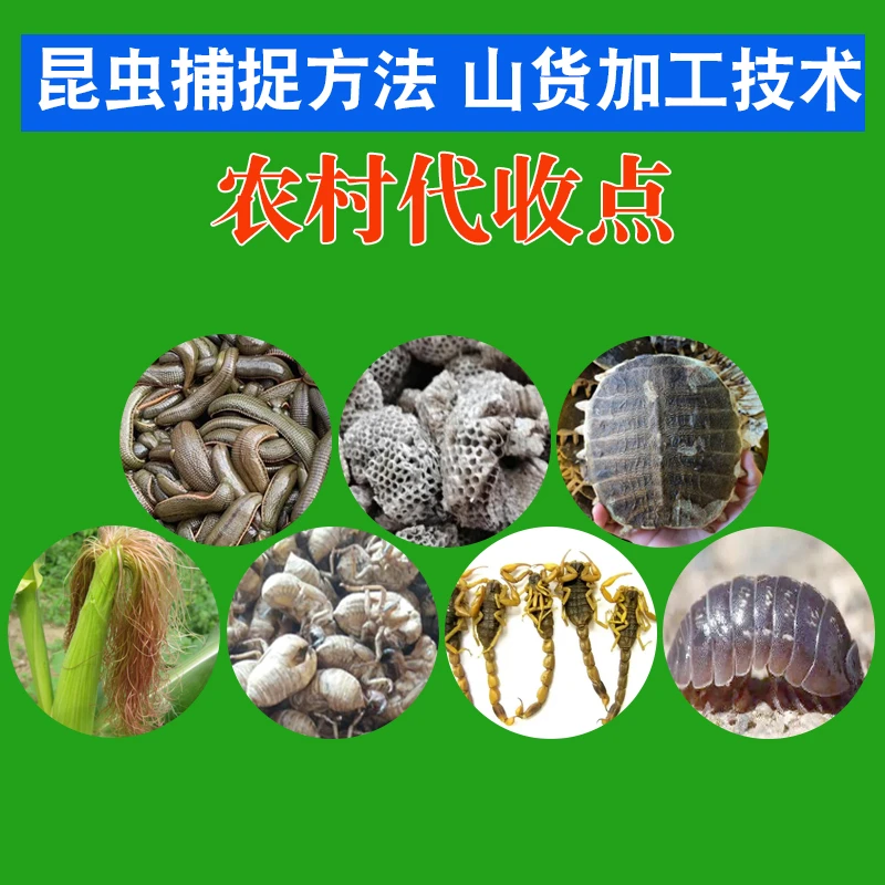 收货点名额 三农工具书 山货加工 昆虫诱捕配方 种植技术