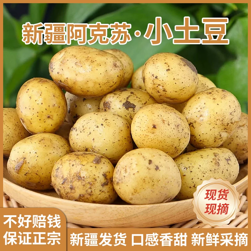 新疆现挖土豆黄皮黄心小软糯应季批发本地水果云南小土豆黄心土豆