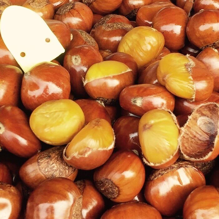 天柱豫星板栗果500g（顺丰同城配送到家）干货