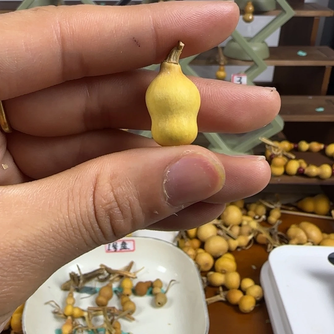 天然草里金小葫芦