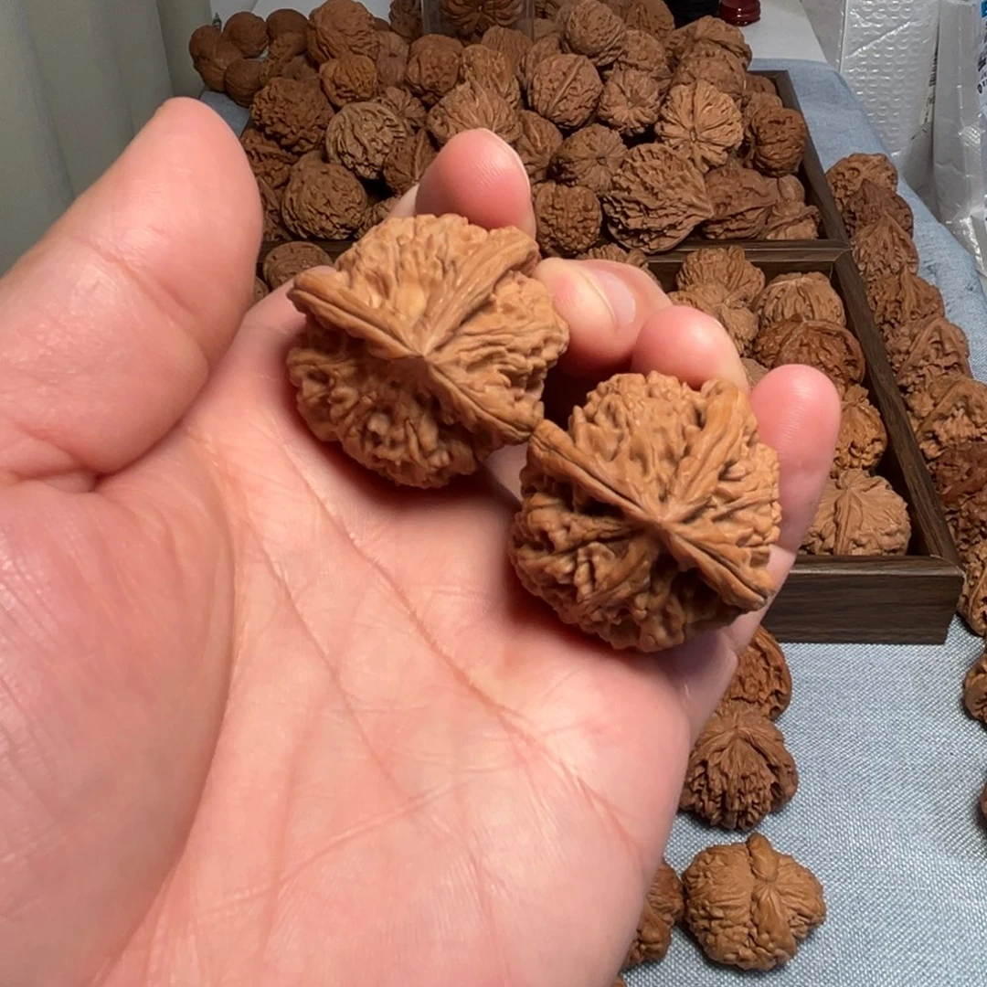 玉玺丁核桃核桃核桃