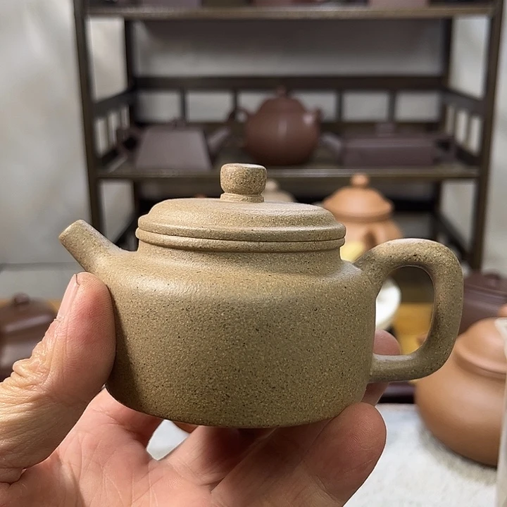 123345667899999 1233456678899999