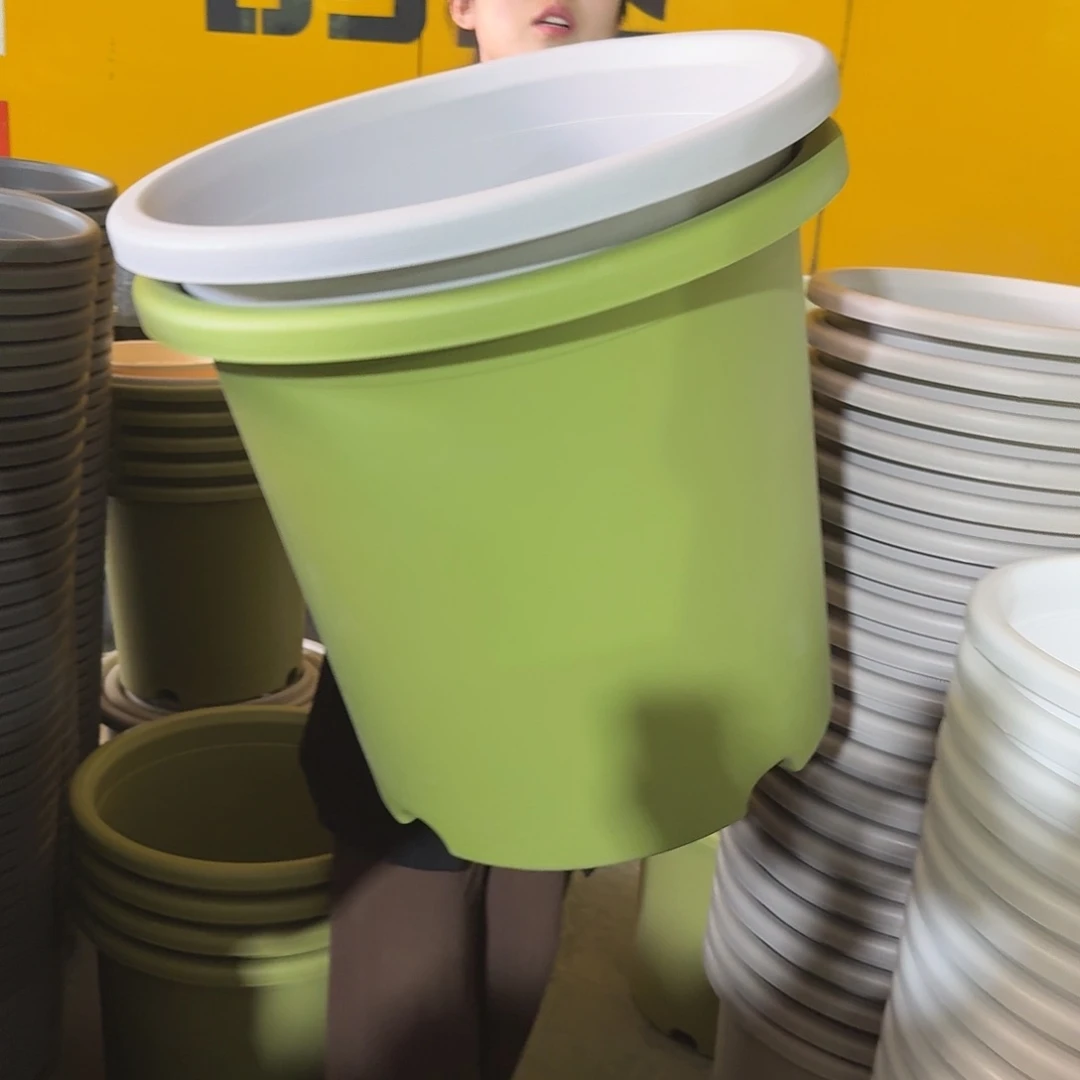 四季55口果绿2个无拖