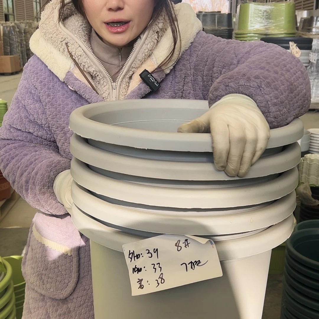 四季盆8#灰白5个无托