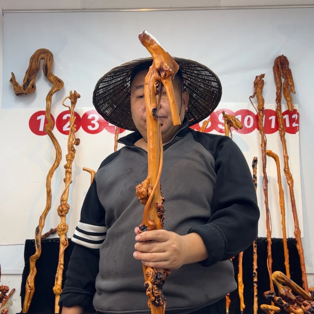 铭***阳黑果木其他黑果木337