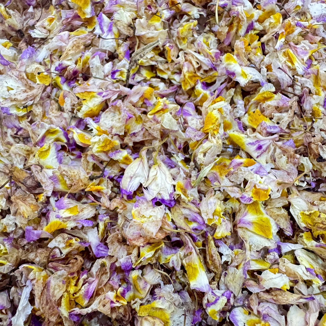 云南高山金钗紫石斛花 泡水泡茶皆可搭