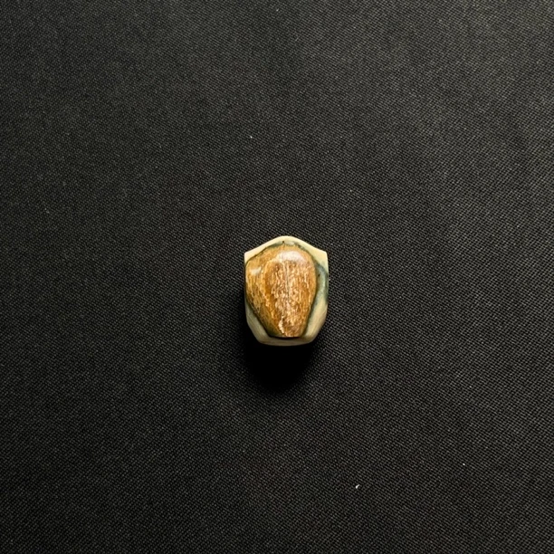 DS05原皮鲨鱼背三通 只做天然猛犸牙