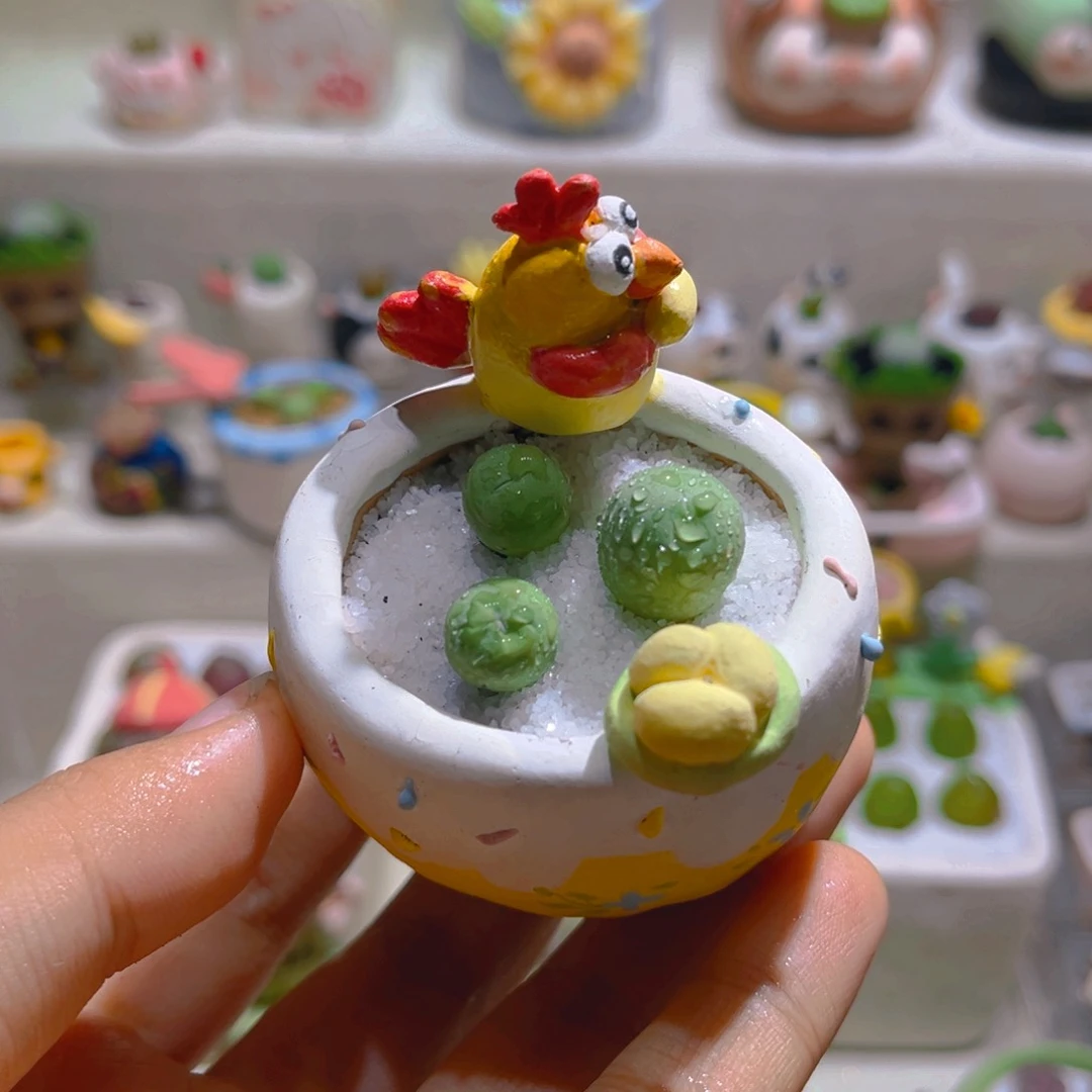 004鸽子蛋拼盘带盆土一套45.8