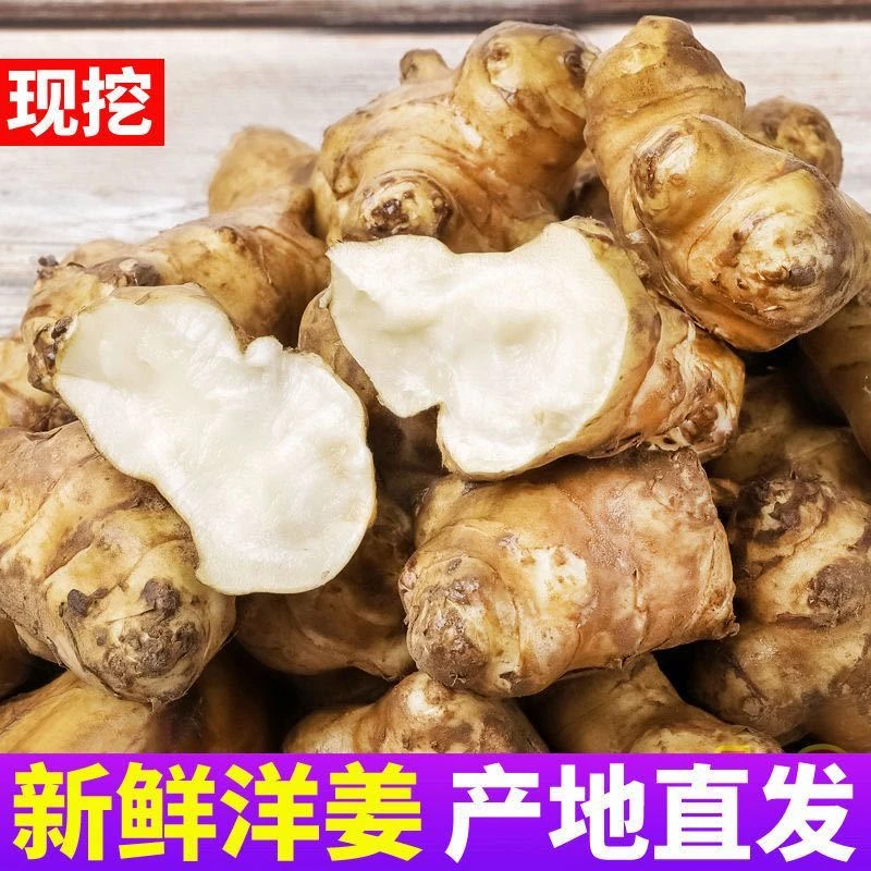 贵州高山现挖新鲜洋姜鲜嫩脆爽农家自种鬼子姜菊芋