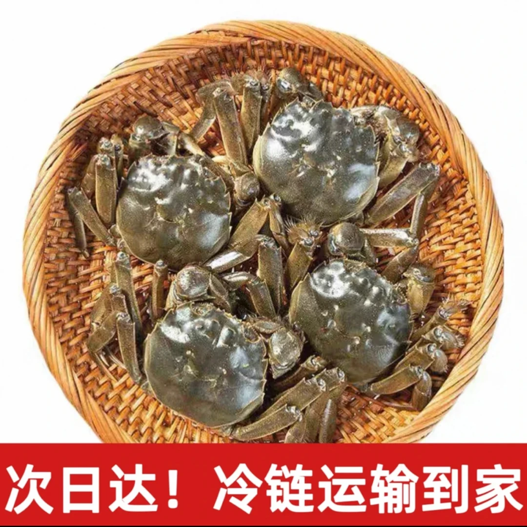 【活蟹】盘锦河蟹 全母蟹 1.6-1.4两/只 10只 京东次日达