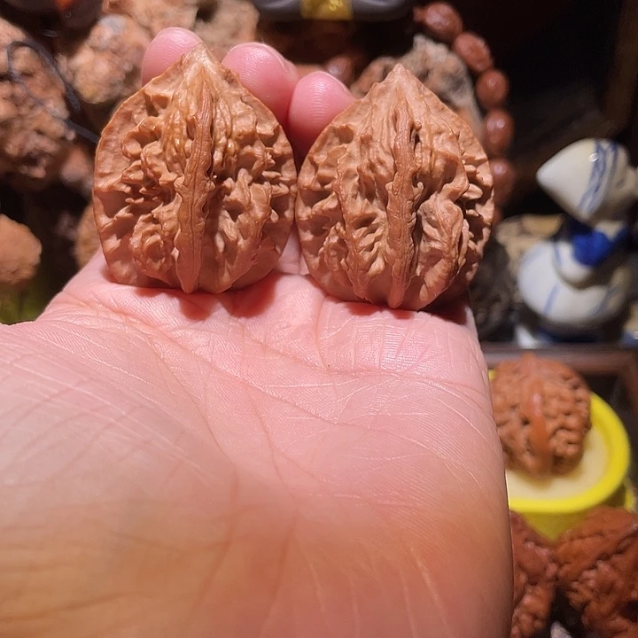 抖音直播间核桃蝴蝶龙骨